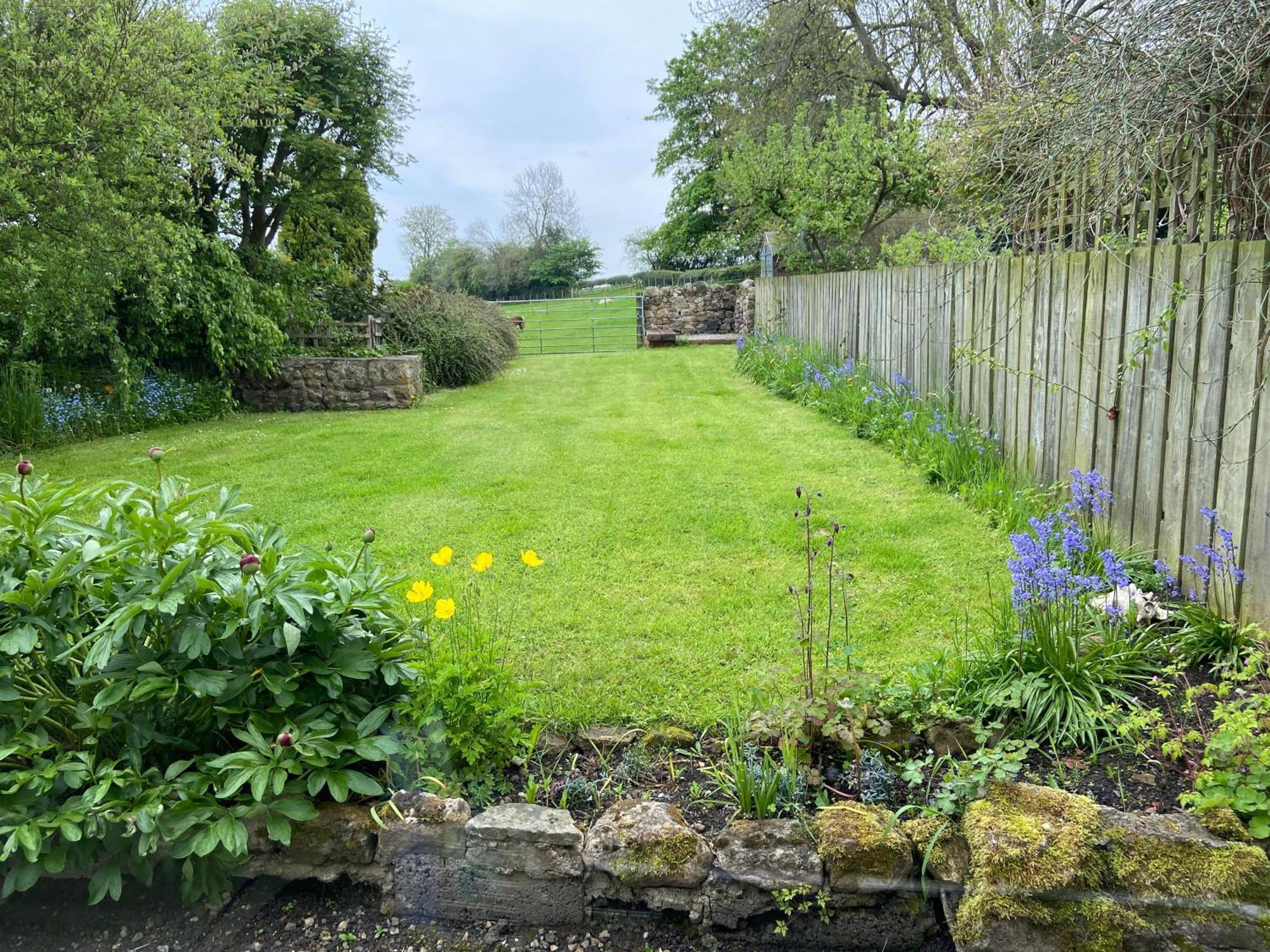 Wensleydale Stone Cottage Hunton  Exterior photo